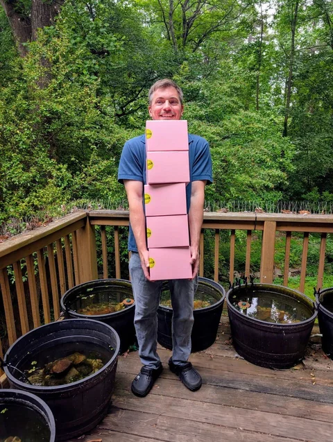 Chris holding a stack of Firefly Medaka shipping boxes, with the outdoor medaka tubs behind him