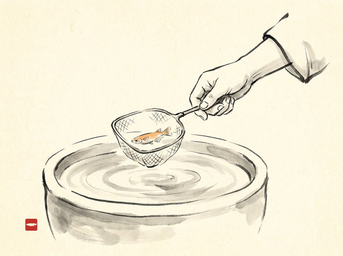 Ink-wash illustration of a hand holding a small net with a single medaka over a ceramic pot