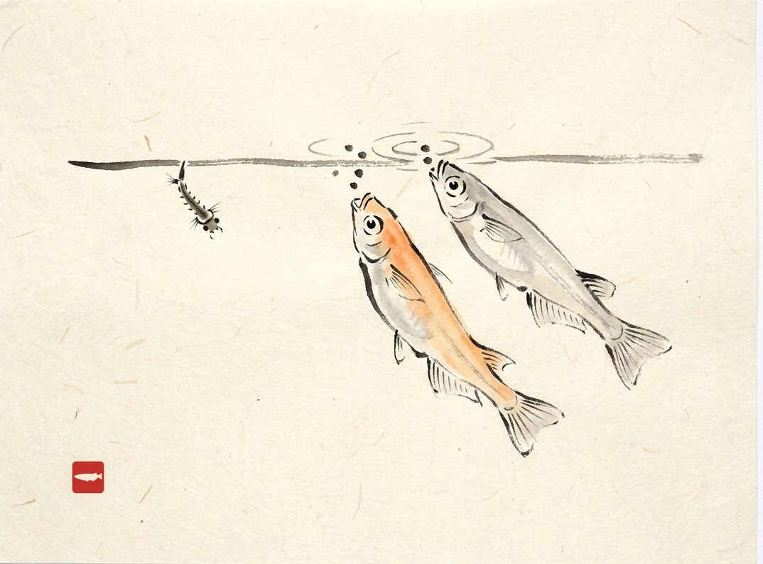 Ink-wash illustration of two medaka tipped upward feeding at the surface near a hanging mosquito larva