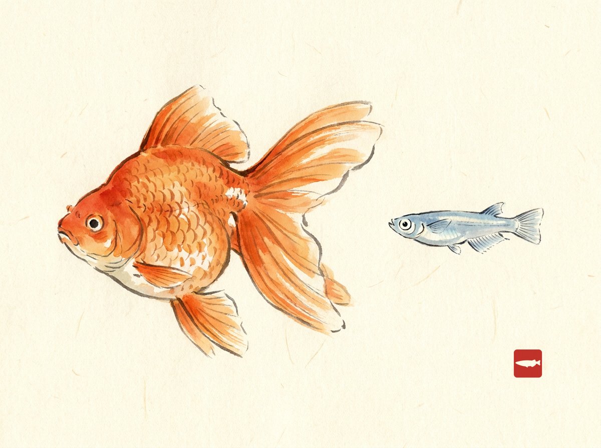 Ink-wash illustration of a large round goldfish beside a tiny slender medaka, showing the size difference