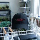 Firefly Medaka™ Logo Embroidered Structured Cap, photo 1