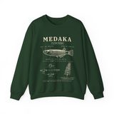 Medaka field guide crewneck sweatshirt in Forest Green, front view with the life cycle plate from egg to adult